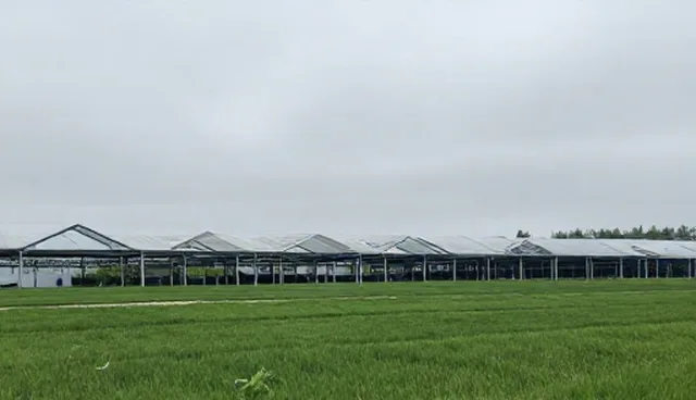 运维管理中接口监控方案的演进与业务适配